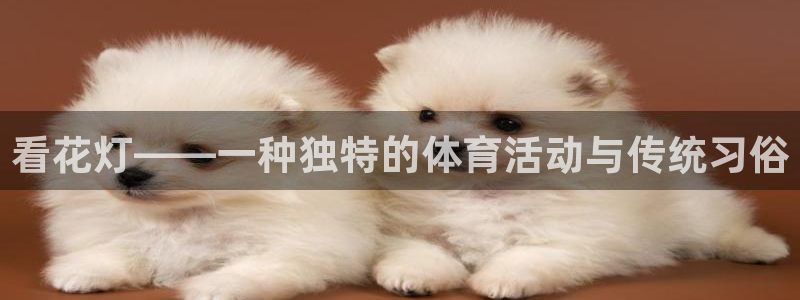 球王会体育：看花灯——一种独特的体育活动与传统习俗