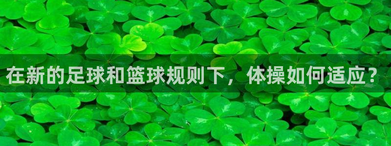球王会体育