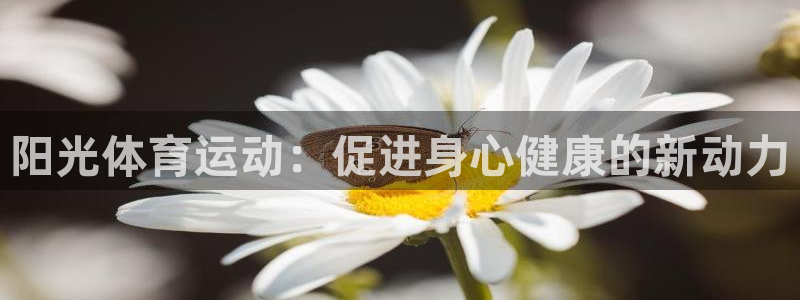 球王会体育