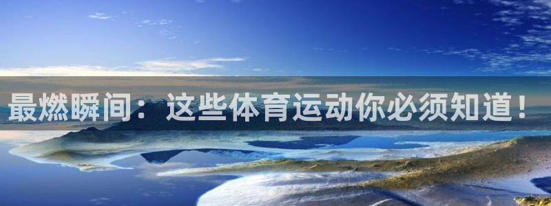 球王会体育
