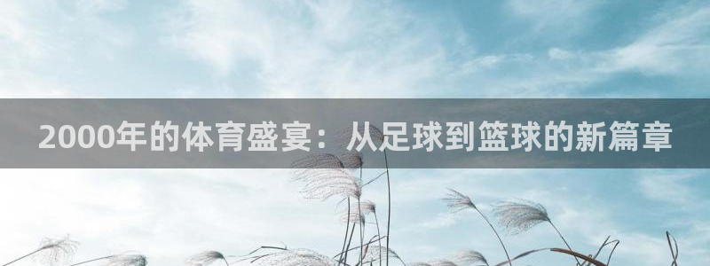 球王会体育：2000年的体育盛宴：从足球到篮球的新篇章
