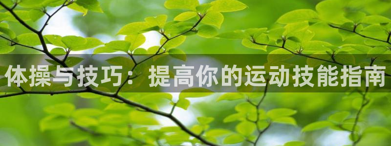 球王会体育：体操与技巧：提高你的运动技能指南