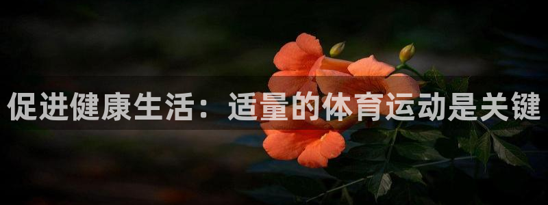 球王会体育：促进健康生活：适量的体育运动是关键