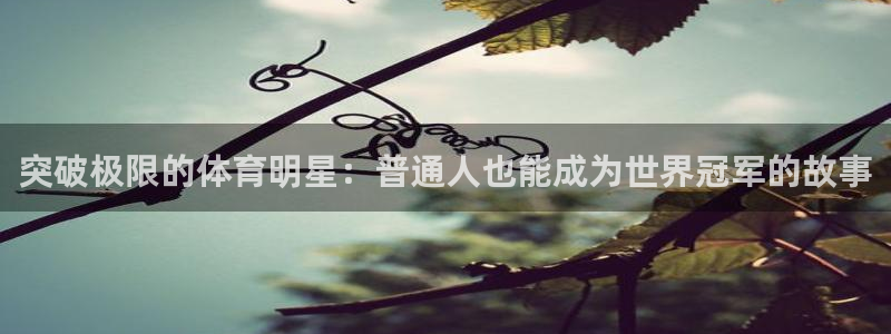 球王会体育：突破极限的体育明星：普通人也能成为世界冠军的故事