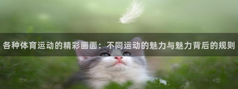 球王会体育